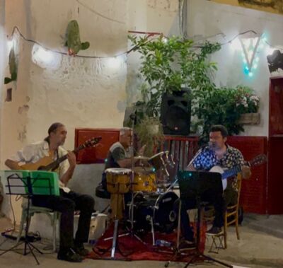 Vince Flamenco 